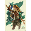 Zelda Tears of Kingdom Link Poster